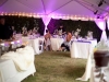 Tent Lights