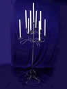 silver 9 light tree